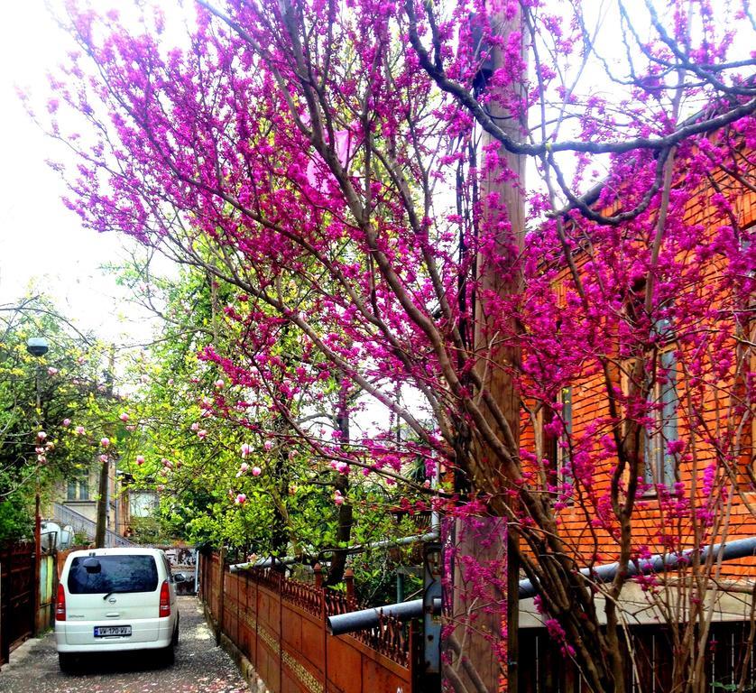 Colibri Home Kutaisi Exterior foto